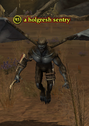 A holgresh sentry