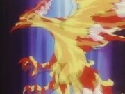 EP076 Moltres en llamas.jpg