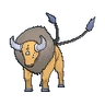 Tauros
