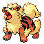 Arcanine