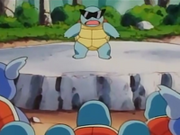 EP060 Squirtle calmando a todos.png
