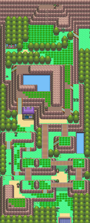 Ruta 225.png