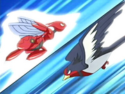 EP406 Scizor y Swellow usando ataque rápido