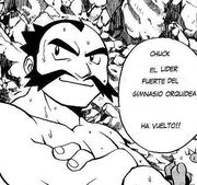 Chuck manga.jpg