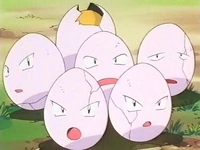 http://vignette3.wikia.nocookie.net/es.pokemon/images/8/8c/EP231_Exeggcute_salvaje.png/revision/