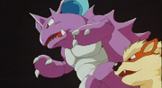 P01 Nidoking.png