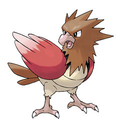 Spearow WikiDex Spearow