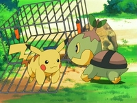 EP474 Turtwig liberando a Pikachu.jpg
