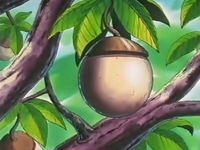 EP145 Bonguri