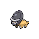 Shieldon DP