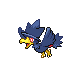 Murkrow DP