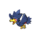 Murkrow DP