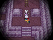 Cueva Celeste HGSS ante Mewtwo
