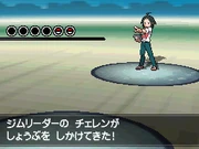 Batalla contra Cheren N2B2