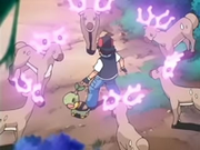 EP475 Manada de Stantler utilizando sus poderes.png