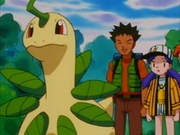 EP163 Bayleef (2).png
