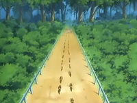EP389 Huellas de Linoone.png