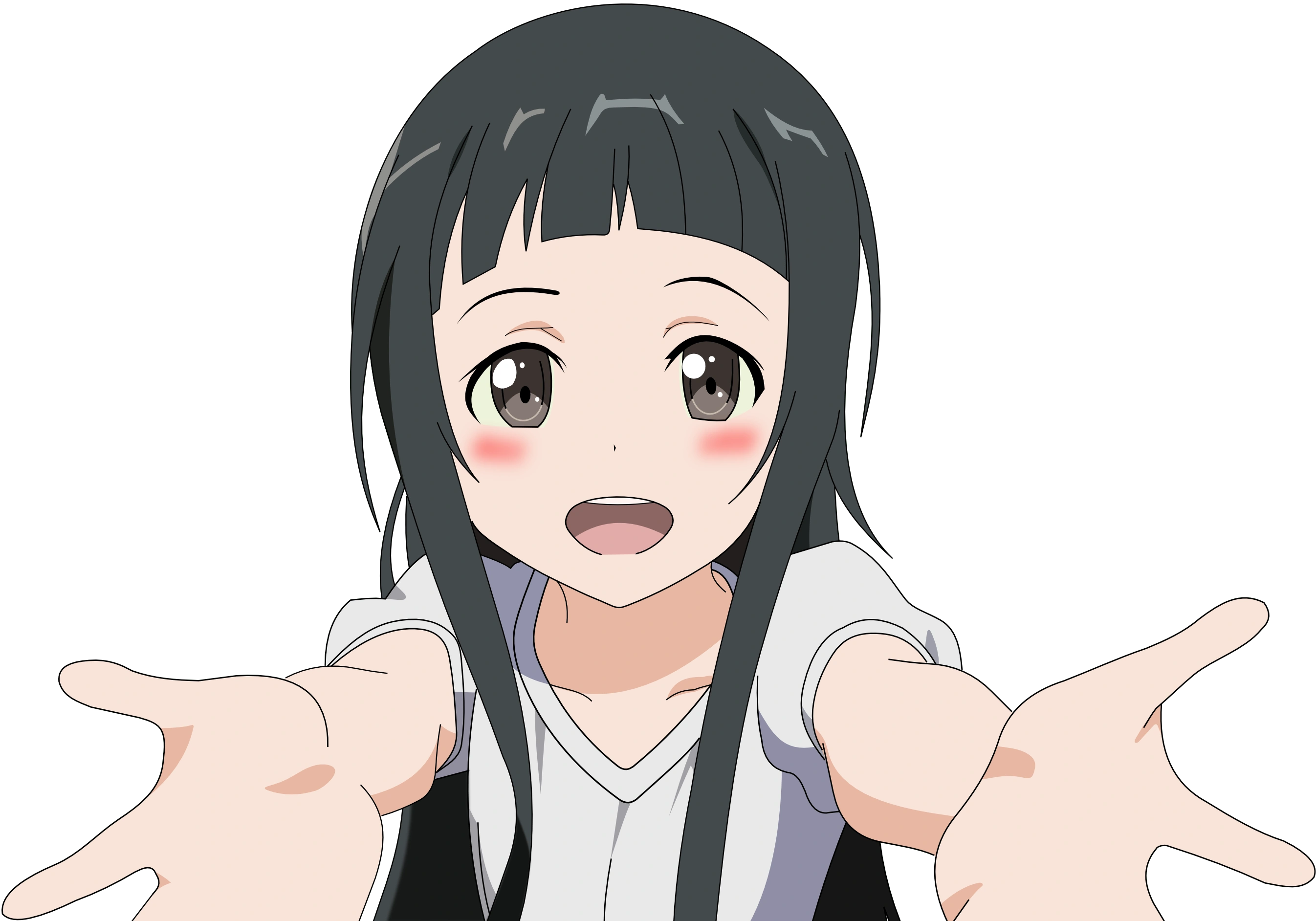 Afficher l'image d'origine