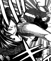 Erza Atacando a Minerva