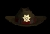 Ringleader's hat