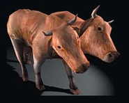 BrahminFOBOS.png (43 KB) BrahminFOBOS