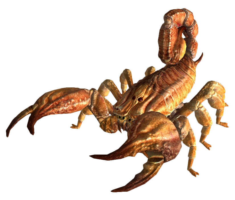 Bark_scorpion_FNV.png
