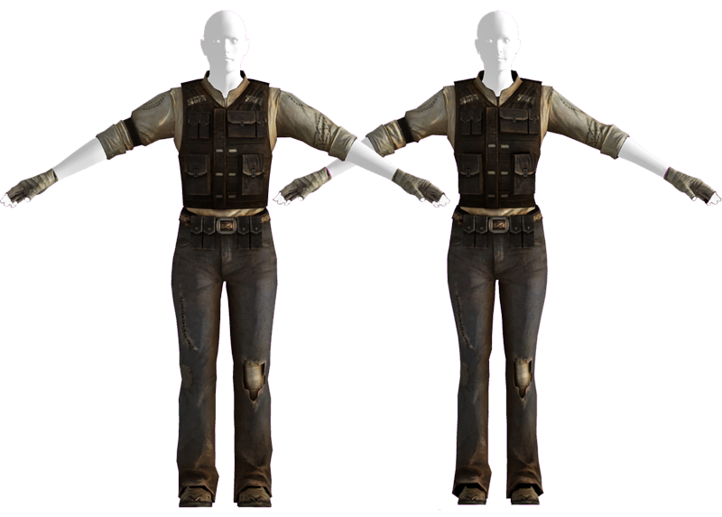 fallout new vegas mercenary mod