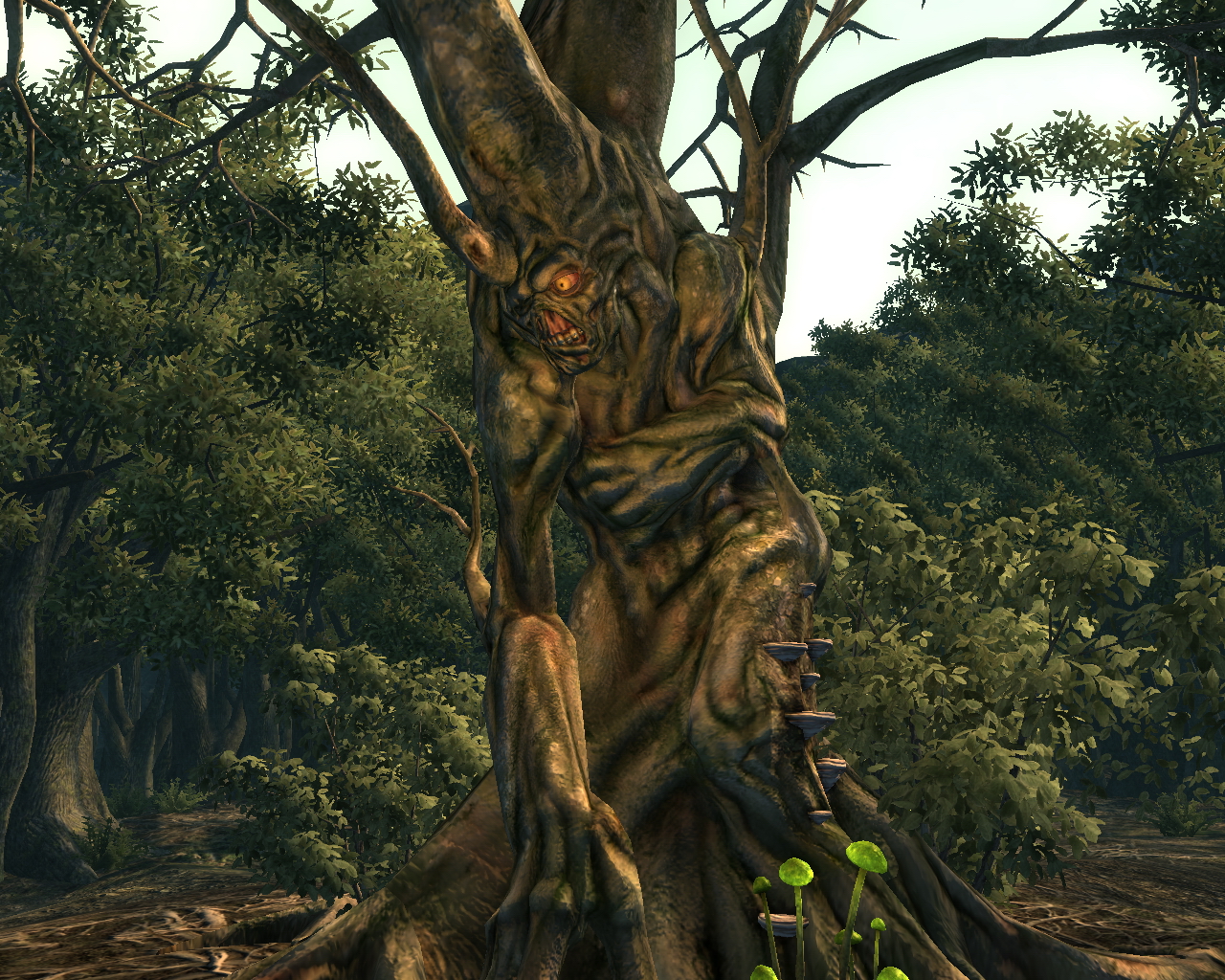 where is oasis in fallout 3 where is oasis in fallout 3