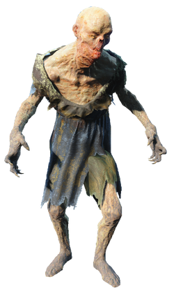 Fallout Wiki Убежище Fallout Wiki Убежище