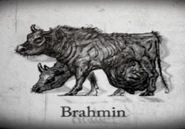 BSoTM.jpg (56 KB) BSoTM