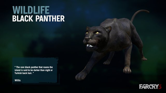 Talk:Black Panther | Far Cry Wiki | FANDOM powered by Wikia