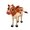 Baby Ayrshire Cow