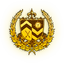 FFXV gold weapon trophy icon