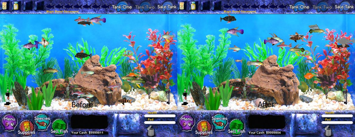 unknown chemical fish tycoon wiki fandom powered by wikia fish tycoon species chart