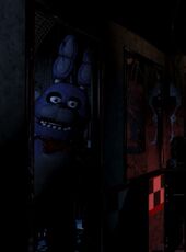 Bonnie Light.jpg