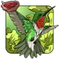 Ruby-Throated_Hummingbird.png