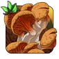 Ancient_Mushroom.png