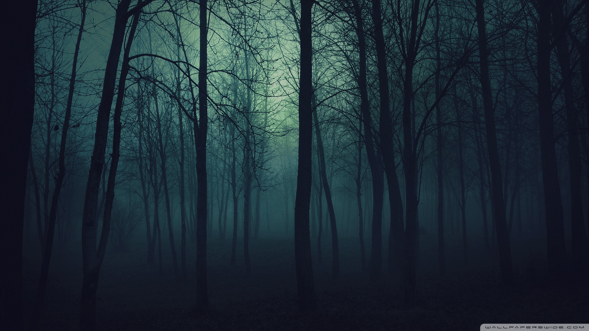 Dark - Deathclan's Dark Forest Latest?cb=20141220194007