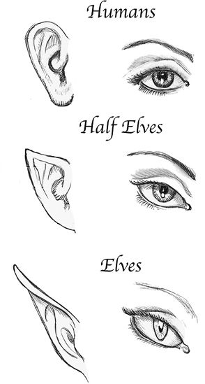 Featured image of post Elf Ear Drawing Reference Free download print 25 unique elf ears ideas on pinterest art reference drawing printable elf ears 14