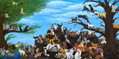 Warrior Cats