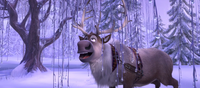 Sven in ice forest