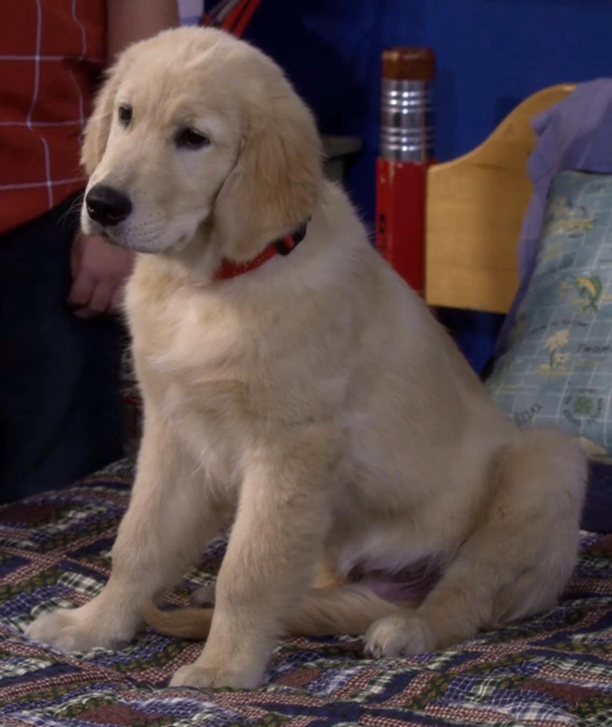 Cosmo T.D. Fuller Full House Fandom powered by Wikia