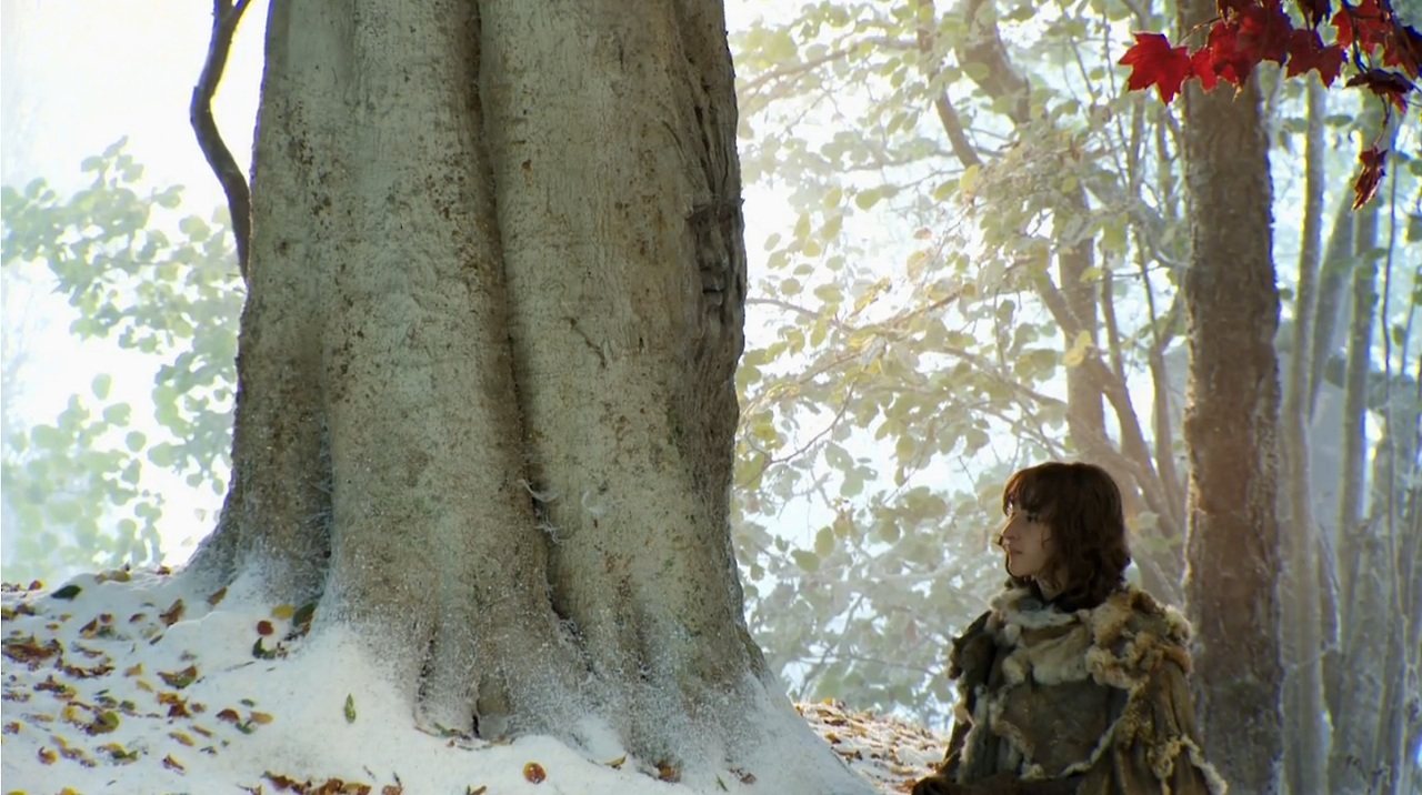 http://vignette3.wikia.nocookie.net/gameofthrones/images/0/08/BranWeirwood.jpg/revision/latest?cb=20140119173507