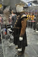 Wondercon-costume-robert