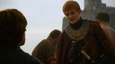 208DerPrinzvonWinterfellJoffrey(1).jpg