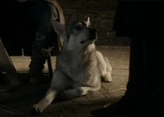 Greywind.png (107 KB) Greywind