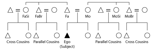 kinship chart maker image cousin kinship chart png familypedia fandom kinship chart maker image cousin kinship chart png familypedia fandom