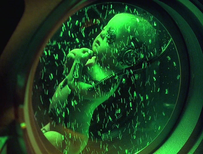 Image result for borg babies