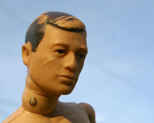 File:GIJoeBrownSoftHead.jpg
