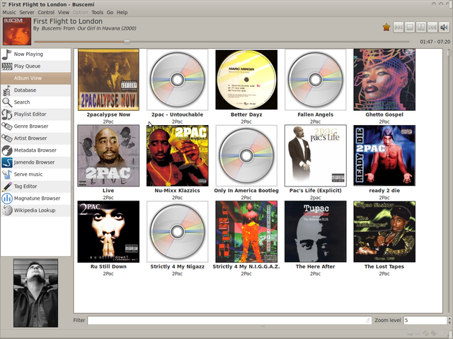 File:11 album view.png